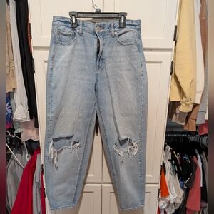 American Eagle Relaxed Mom Jean